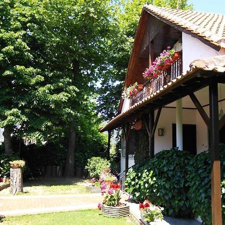 Villa Afroditi Vrasná Exteriér fotografie