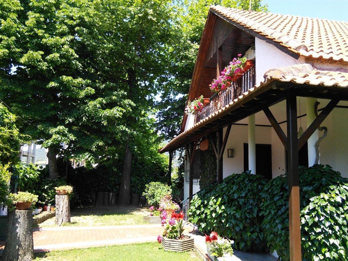 Villa Afroditi Vrasná Exteriér fotografie