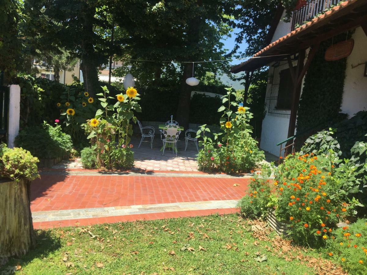 Villa Afroditi Vrasná Exteriér fotografie